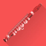 MusicProfessor Pro Series Library Online Flute Lesson Course